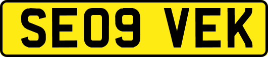 SE09VEK