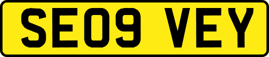 SE09VEY