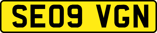 SE09VGN