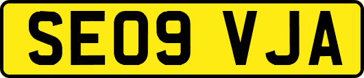 SE09VJA