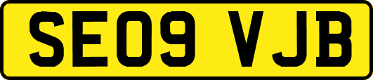 SE09VJB