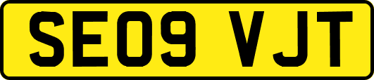 SE09VJT