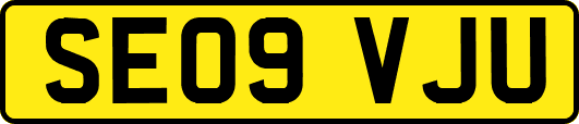 SE09VJU