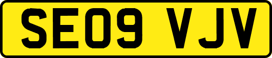 SE09VJV
