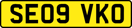 SE09VKO