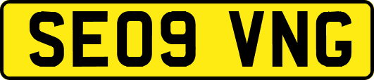 SE09VNG