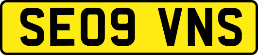 SE09VNS