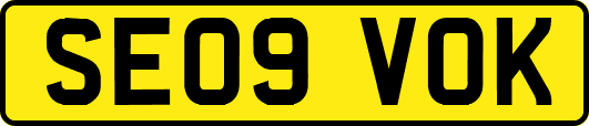 SE09VOK