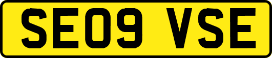 SE09VSE