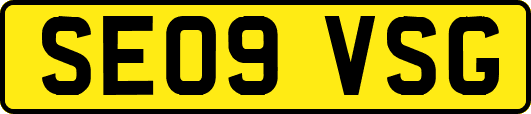 SE09VSG