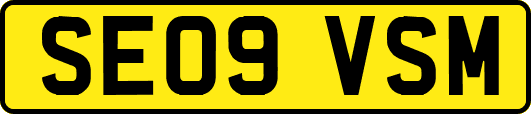 SE09VSM