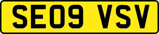 SE09VSV
