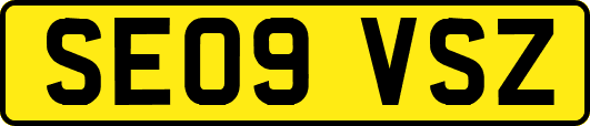 SE09VSZ