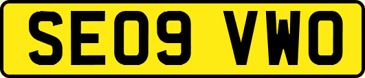 SE09VWO
