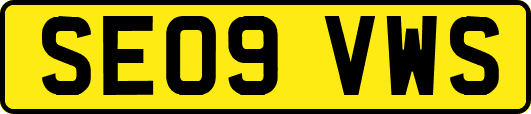 SE09VWS