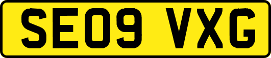 SE09VXG