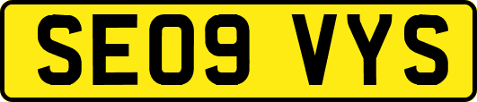 SE09VYS