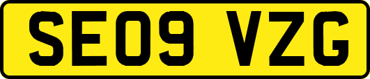 SE09VZG