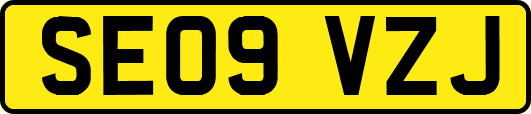 SE09VZJ