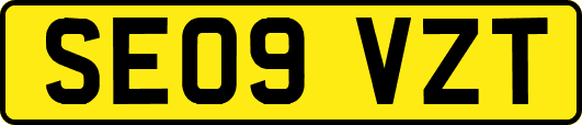 SE09VZT