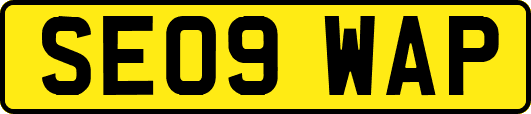 SE09WAP