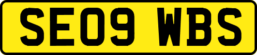 SE09WBS