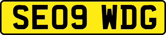 SE09WDG