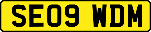 SE09WDM