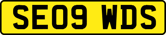SE09WDS