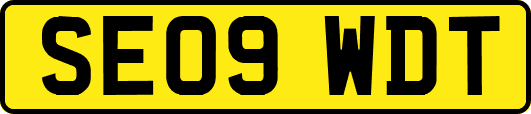 SE09WDT