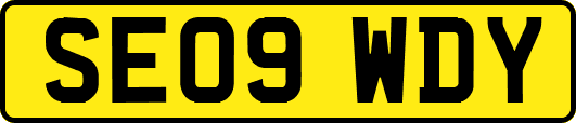 SE09WDY