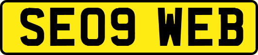 SE09WEB
