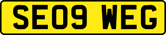 SE09WEG