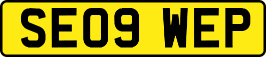 SE09WEP