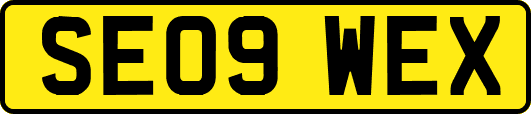 SE09WEX