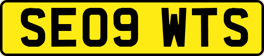 SE09WTS