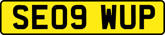 SE09WUP