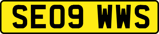 SE09WWS