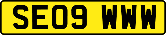 SE09WWW