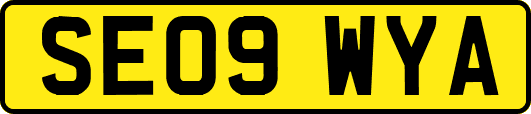 SE09WYA