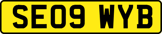 SE09WYB