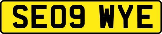 SE09WYE