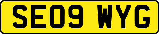 SE09WYG