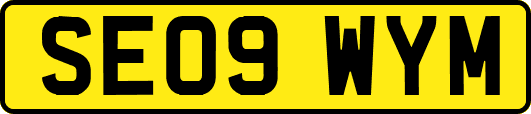 SE09WYM