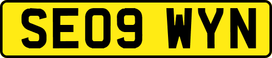 SE09WYN