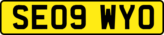 SE09WYO