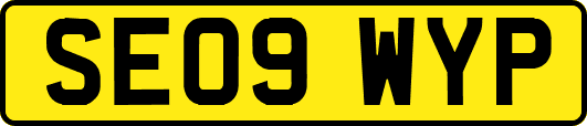 SE09WYP