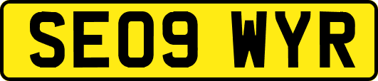 SE09WYR