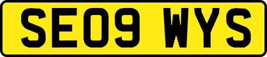 SE09WYS