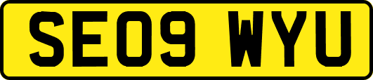 SE09WYU